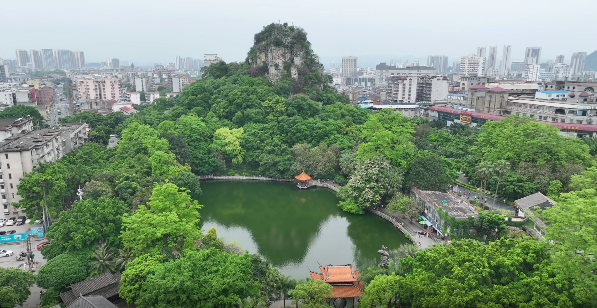 龙城胜概立鱼峰 
